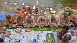 पितृपक्ष: पृथ्&zwj;वी पर आते हैं प&zwj;ितर, श्राद्ध और तर्पण से मिलेगा पूर्वजों का आशीर्वाद