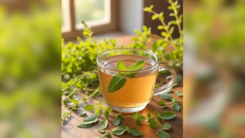 तुलसी का काढ़ा: मां जैसी जड़ी-बूटी जो रखे सेहत का ख्याल, जानें कैसे बनाए