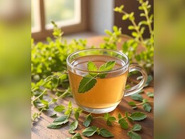 तुलसी का काढ़ा: मां जैसी जड़ी-बूटी जो रखे सेहत का ख्याल, जानें कैसे बनाए तुलसी का काढ़ा: मां जैसी जड़ी-बूटी जो रखे सेहत का ख्याल, जानें कैसे बनाए