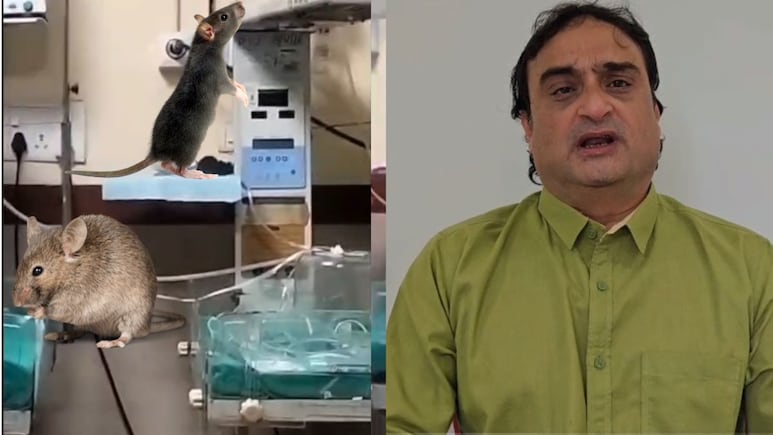 MYH अस्पताल में नवजातों के शरीर कुतरे जाने पर सरकार पर हमलावर हुई कांग्रेस, बोलीं- बच्चों को पहला स्पर्श सुरक्षा का, लेकिन...' MYH अस्पताल में नवजातों के शरीर कुतरे जाने पर सरकार पर हमलावर हुई कांग्रेस, बोलीं- बच्चों को पहला स्पर्श सुरक्षा का, लेकिन...'