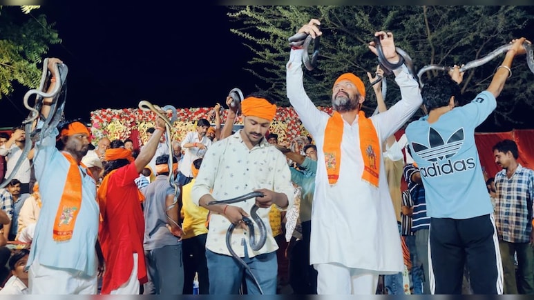 लोकदेवता गोगा जी को र‍िझाने के ल‍िए जहरीले सांपों और विषखोपड़ा का अखाड़ा, गले में डालकर झूमे लोग