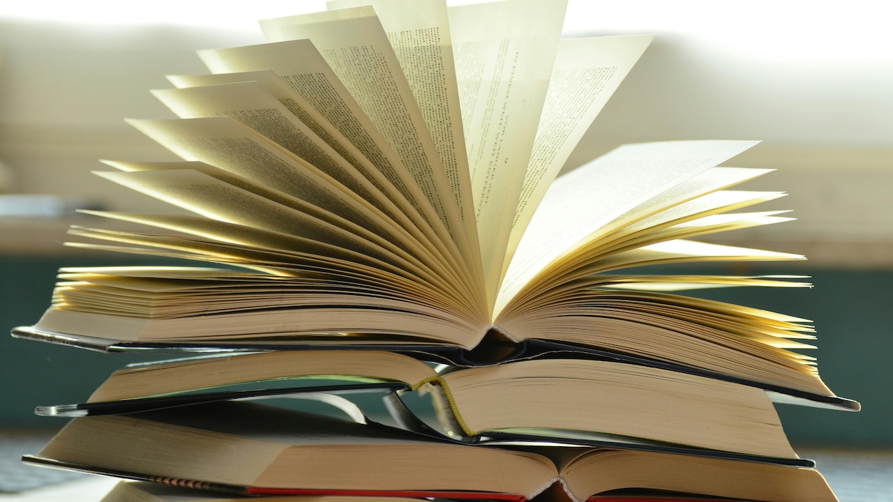 Hindi Diwas 2025: Can these hindi novels upgrade your reading experience