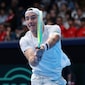 Germany, France, Argentina And Austria On Brink Of Davis Cup Finals