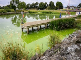 UK's Largest Lake, Lough Neagh, "Dying" As Toxic Blue-Green Algae Grows UK's Largest Lake, Lough Neagh, "Dying" As Toxic Blue-Green Algae Grows