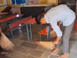 Kota News: सरकारी स्कूल के निरीक्षण में शिक्षा व्यवस्था की खुली पोल, क्लासरूम में झाड़ू लगाते दिखे बच्चे Kota News: सरकारी स्कूल के निरीक्षण में शिक्षा व्यवस्था की खुली पोल, क्लासरूम में झाड़ू लगाते दिखे बच्चे