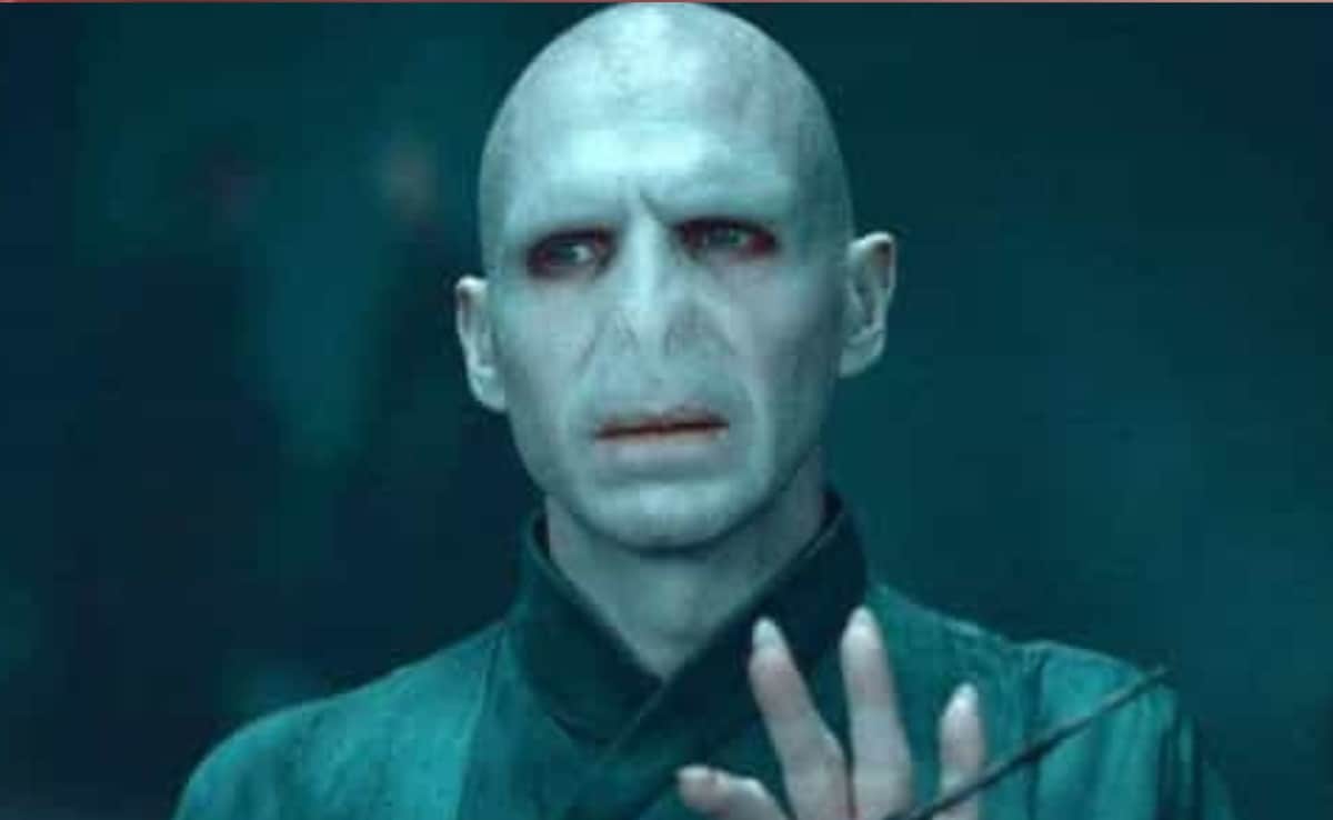 Voldemort Could Be A Woman In HBO's Harry Potter Series, Fans React