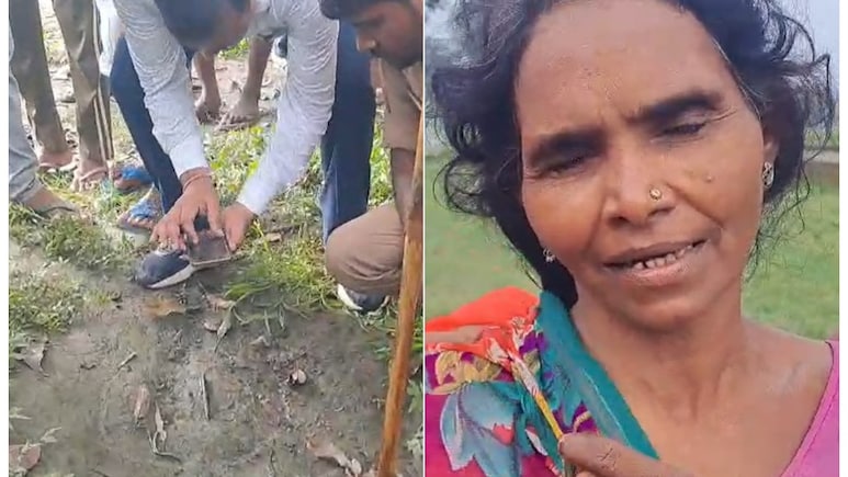 चीखती रही मां... 18 साल की बेटी को जबड़े में दबा ले गया बाघ, अब ड्रोन कैमरों से हो रही तलाश