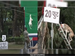 Watch: BSF's Dogs Leap 18 Feet High Wall, Climb 20-Foot Ladder Watch: BSF's Dogs Leap 18 Feet High Wall, Climb 20-Foot Ladder