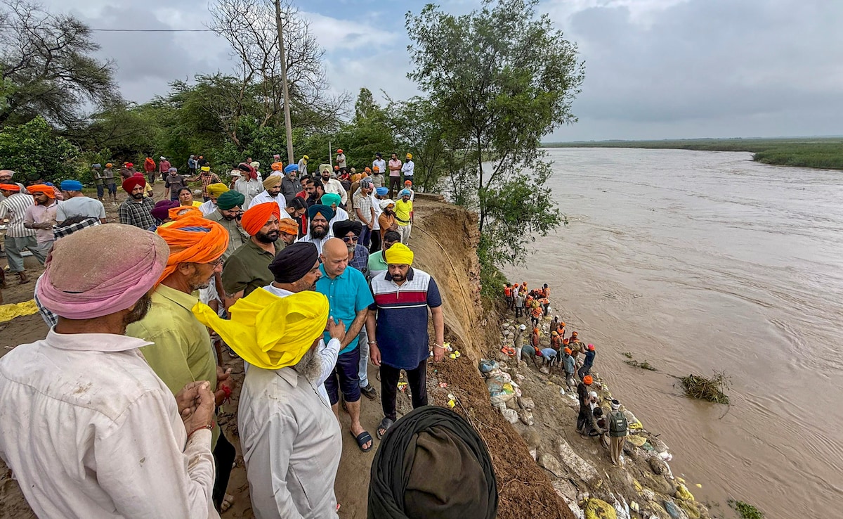 AAP in-charge of Punjab Manish Sisodia during a visit to a flood-hit area, at Marar village (PTI) AAP in-charge of Punjab Manish Sisodia during a visit to a flood-hit area, at Marar village (PTI)