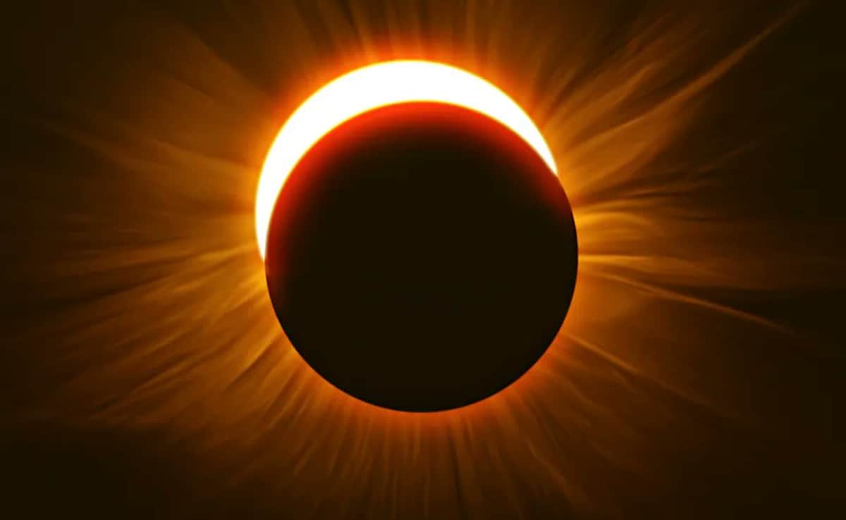 Latest and Breaking News on NDTV Latest and Breaking News on NDTV