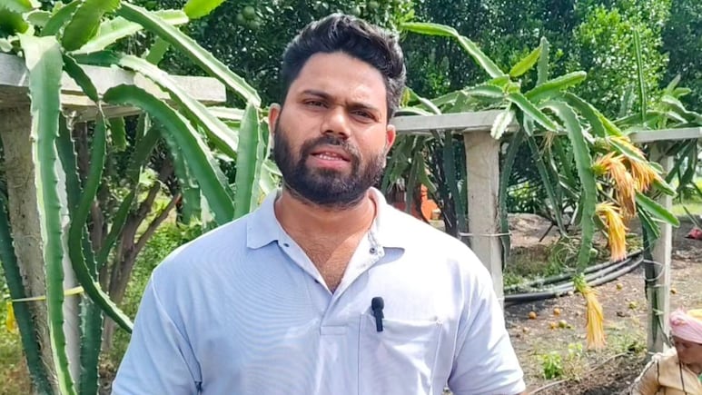 Wardha News : पुणे सोडलं अन् शेतकरी झाला; मॅकेनिकल इंजिनियर तरुणाच्या पिकाला सोन्याचा भाव, राज्यभरात चर्चा