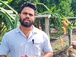 Wardha News : पुणे सोडलं अन् शेतकरी झाला; मॅकेनिकल इंजिनियर तरुणाच्या पिकाला सोन्याचा भाव, राज्यभरात चर्चा Wardha News : पुणे सोडलं अन् शेतकरी झाला; मॅकेनिकल इंजिनियर तरुणाच्या पिकाला सोन्याचा भाव, राज्यभरात चर्चा