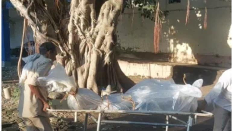 Bihar Crime: नालंदा में ऑनर किलिंग! बारिश में दिखा दफन लाश का बोरा, 3 महीने की गर्भवती बेटी की हत्या कर माता-पिता फरार