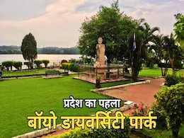 भोपाल में बनेगा प्रदेश का पहला बायो डायवर्सिटी पार्क, 100 हेक्टेयर क्षेत्र में होगी स्थापना भोपाल में बनेगा प्रदेश का पहला बायो डायवर्सिटी पार्क, 100 हेक्टेयर क्षेत्र में होगी स्थापना
