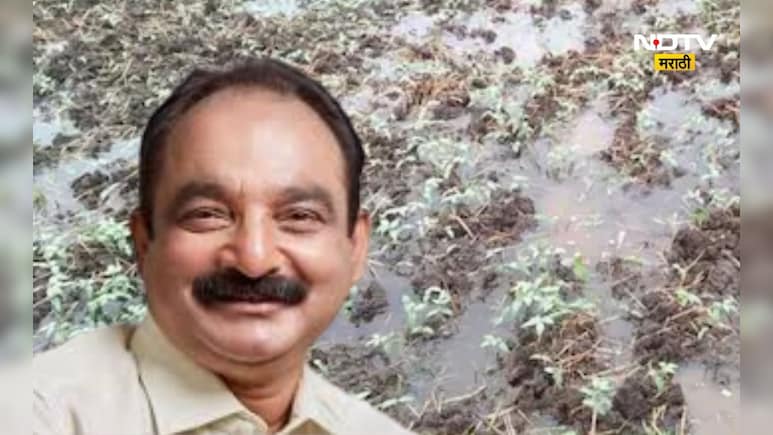 नैसर्गिक आपत्तीमुळे बाधित पिकांच्या नुकसानीपोटी 73 कोटी 91 लाख 43 हजाराच्या मदतीस मान्यता नैसर्गिक आपत्तीमुळे बाधित पिकांच्या नुकसानीपोटी 73 कोटी 91 लाख 43 हजाराच्या मदतीस मान्यता