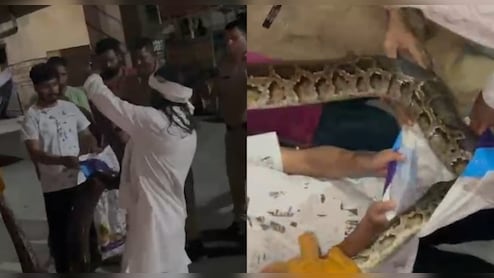 हरिद्वार में पुलिस की वैन में घुसा अजगर, वन विभाग ने कुछ यूं किया रेस्क्यू