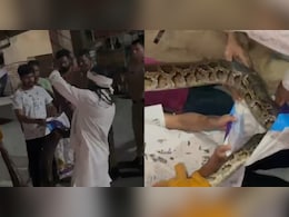 हरिद्वार में पुलिस की वैन में घुसा अजगर, वन विभाग ने कुछ यूं किया रेस्क्यू हरिद्वार में पुलिस की वैन में घुसा अजगर, वन विभाग ने कुछ यूं किया रेस्क्यू