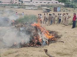 Rajasthan: बाड़मेर में धू-धू कर जला 3 करोड़ का 1800 किलोग्राम 'नशे का ज़हर', ड्रग्स की बोरियां भर-भरके लाये पुलिसकर्मी 