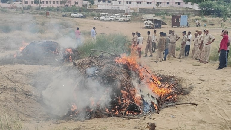 Rajasthan: बाड़मेर में धू-धू कर जला 3 करोड़ का 1800 किलोग्राम 'नशे का ज़हर', ड्रग्स की बोरियां भर-भरके लाये पुलिसकर्मी 