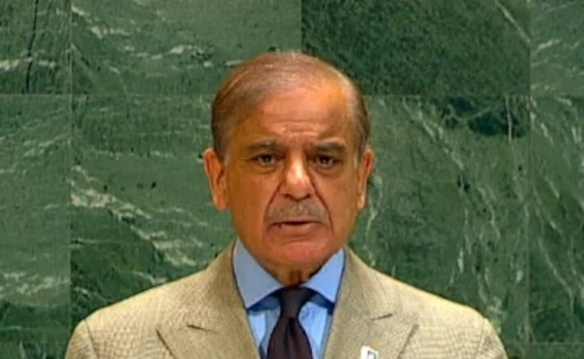 "Absurd Theatrics From Pak PM": India Slams Shehbaz Sharif's Remarks At UN