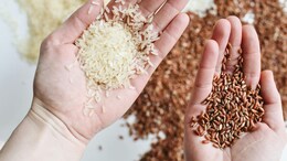 Brown Rice Or White Rice: Which One Helps You Lose Weight Faster?