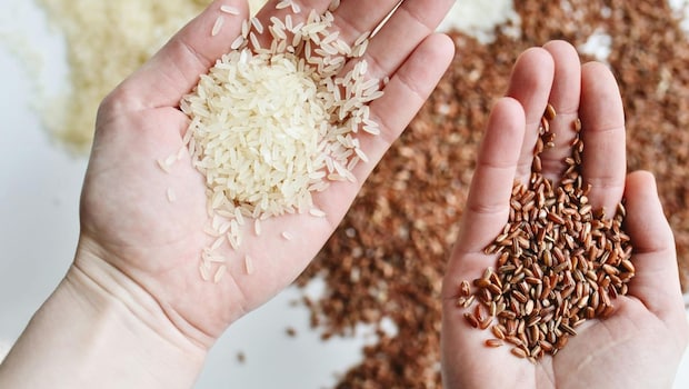Brown Rice Or White Rice: Which One Helps You Lose Weight Faster?