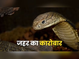 भारत में कितना बड़ा है सांप के जहर का कारोबार? करोड़ों तक पहुंचती है कीमत