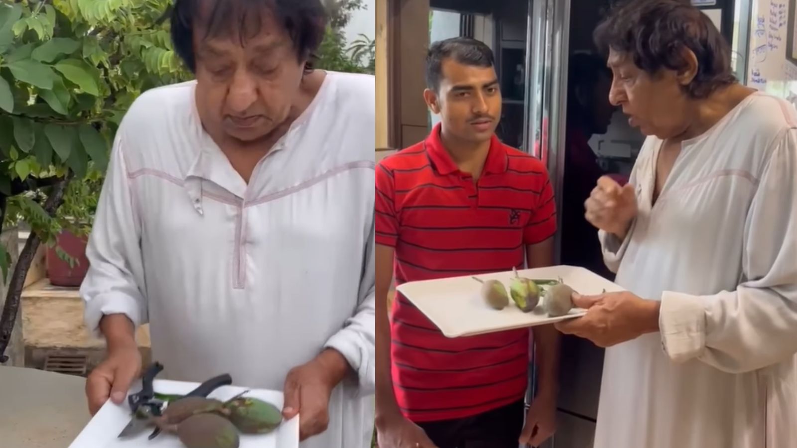 Ranjeet Plucks Mangoes And Green Chillies From Home Garden To Make Chutney