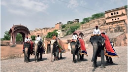 Rajasthan Tourism: आमेर महल में फिर शुरू हुई हाथी सवारी, किराया बढ़कर हुआ ₹2500, पर्यटकों और महावतों में खुशी की लहर
