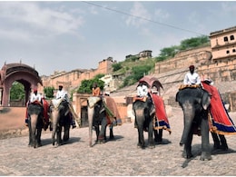 Rajasthan Tourism: आमेर महल में फिर शुरू हुई हाथी सवारी, किराया बढ़कर हुआ ₹2500, पर्यटकों और महावतों में खुशी की लहर Rajasthan Tourism: आमेर महल में फिर शुरू हुई हाथी सवारी, किराया बढ़कर हुआ ₹2500, पर्यटकों और महावतों में खुशी की लहर