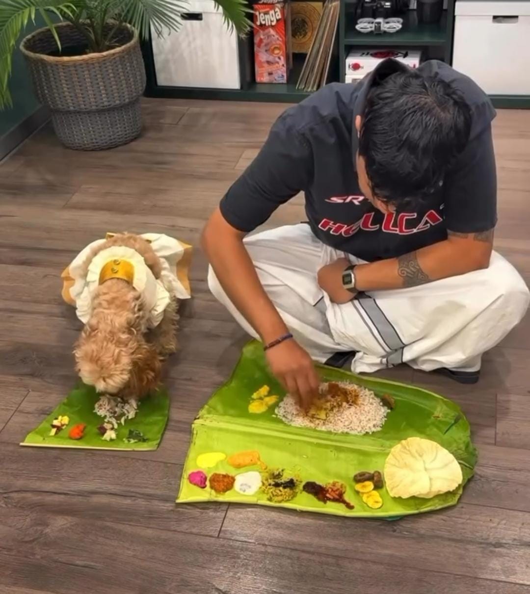 "Cutest Onam Post" - Video Of Dog Enjoying Mini Onam 'Sadhya' Goes Viral