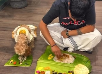 "Cutest Onam Post" - Video Of Dog Enjoying Mini Onam 'Sadhya' Goes Viral