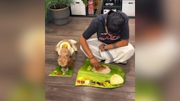 "Cutest Onam Post" - Video Of Dog Enjoying Mini Onam 'Sadhya' Goes Viral