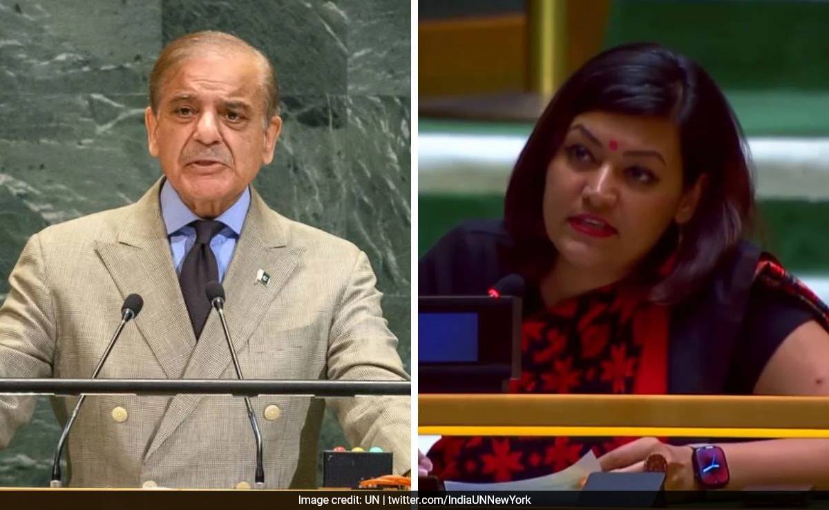 "Destroyed Runways Look Like Victory?" India Mocks Shehbaz Sharif's Claim