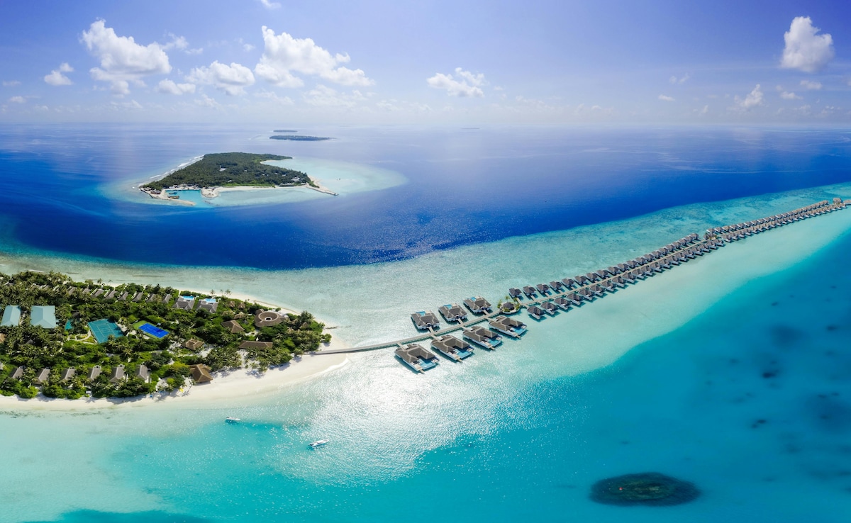 Add image caption here Add image caption here