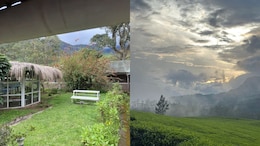 Woman Traveller's Kerala Trip Experience Goes Viral: 'Not Once It Felt...'