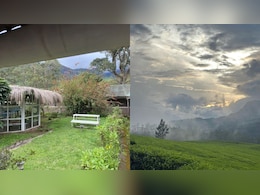 Woman Traveller's Kerala Trip Experience Goes Viral: 'Not Once It Felt...' Woman Traveller's Kerala Trip Experience Goes Viral: 'Not Once It Felt...'