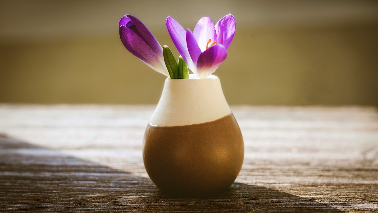 How To Choose The Perfect Vase: Shapes, Styles And Home Decor Tricks
