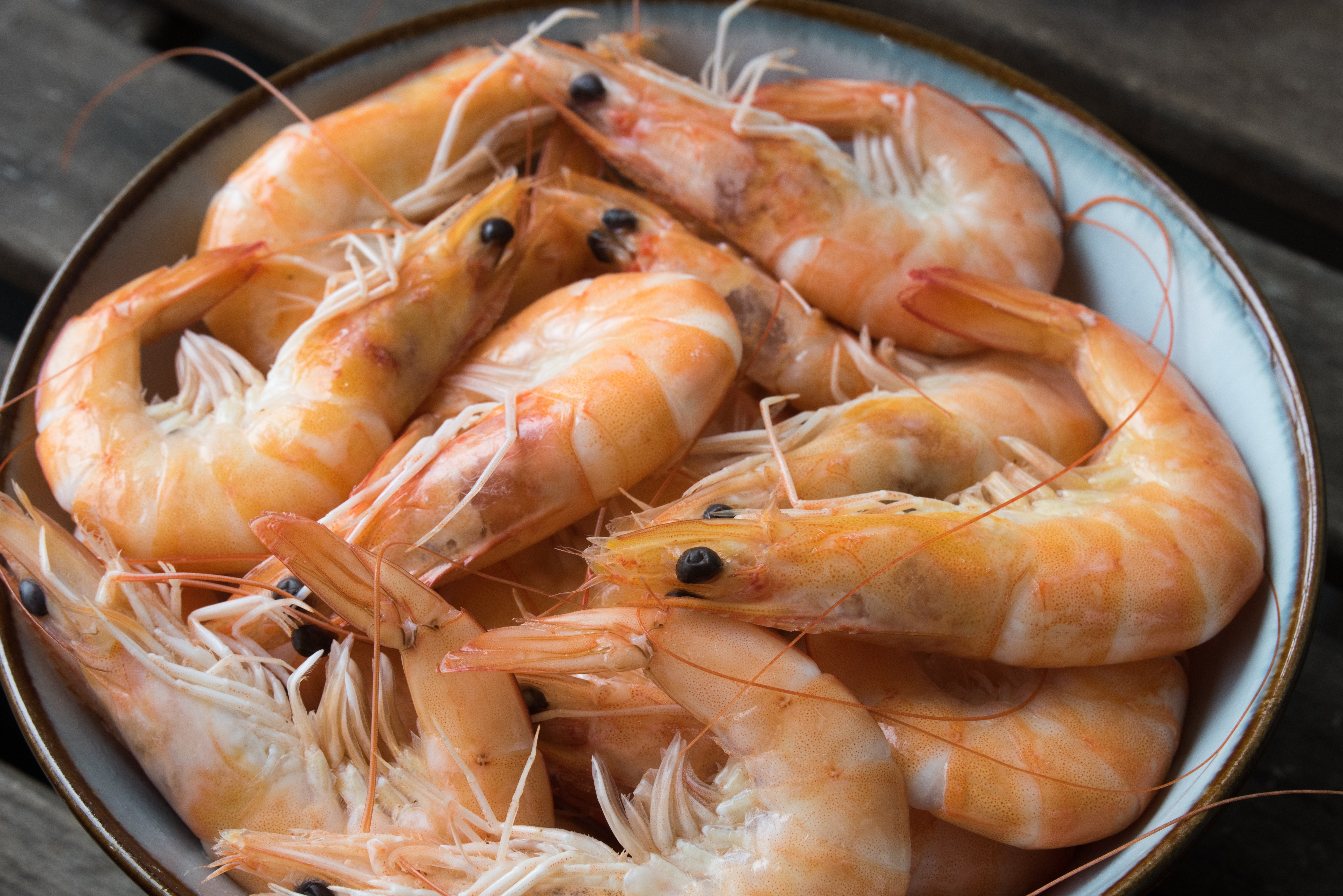India To Host World Seafood Congress For The First Time In 2026