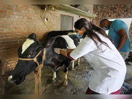 जानवरों के इलाज की नई पहल से दवा और वैक्सीनेशन होगा आसान, लंपी जैसी बीमारियों का खतरा घटेगा जानवरों के इलाज की नई पहल से दवा और वैक्सीनेशन होगा आसान, लंपी जैसी बीमारियों का खतरा घटेगा