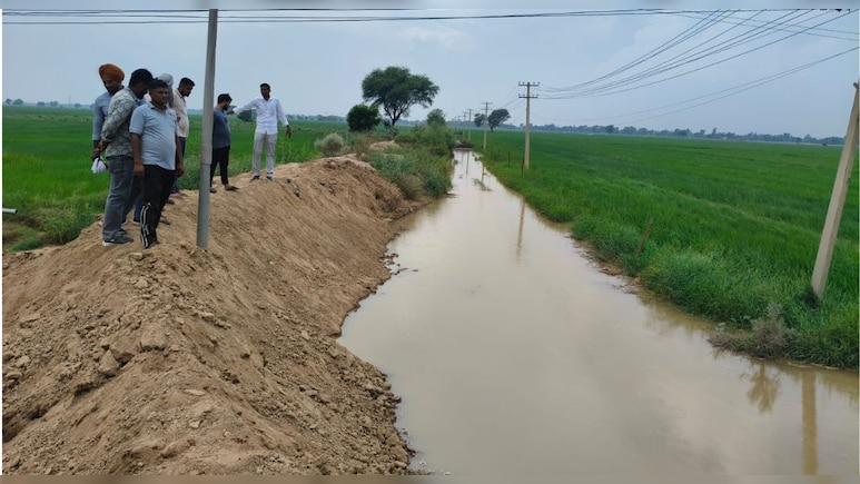 अनूपगढ़ के 91GB गाँव में घग्घर नदी के बांध में कटाव, खेतों में फैला पानी अनूपगढ़ के 91GB गाँव में घग्घर नदी के बांध में कटाव, खेतों में फैला पानी