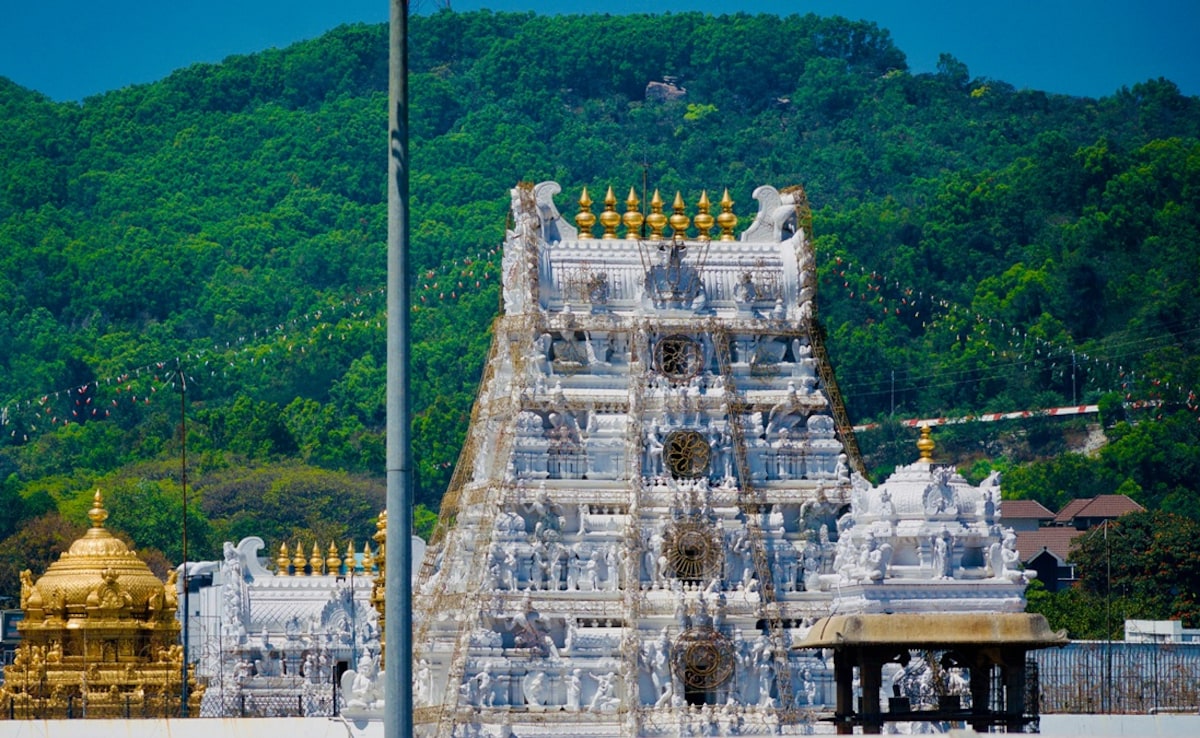 Rs 50 Lakh Money Trail Found In Adulterated Ghee In Tirupati Laddu Row