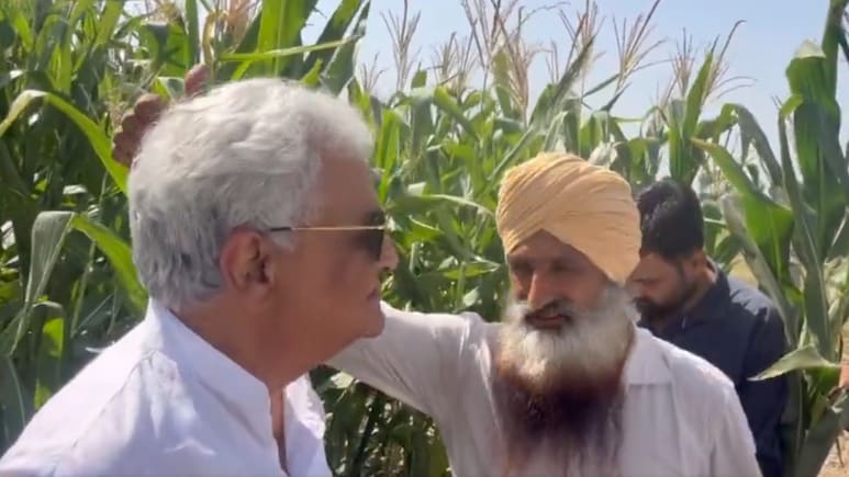 Rajasthan: कंपनी ने किसानों को बताया ग्वार का बीज, मंत्री किरोड़ी मीणा पहुंचे खेत तो निकला मक्का