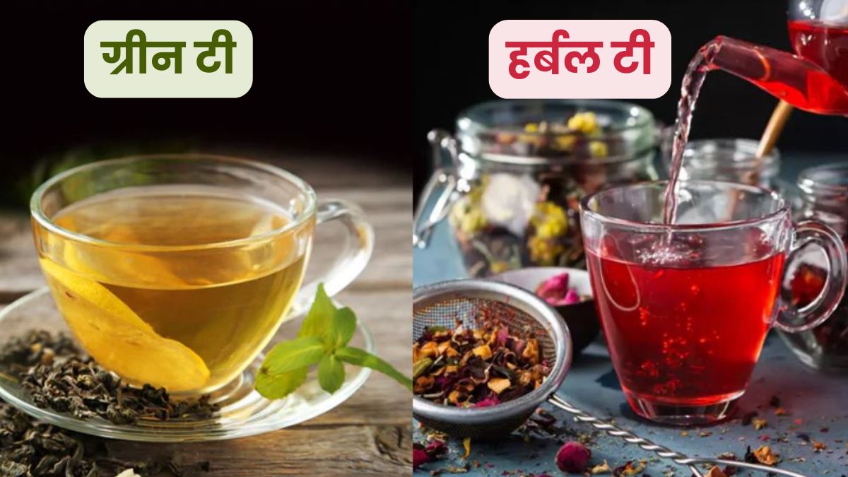 ग्रीन टी और हर्बल टी: सुबह की चाय बदल सकती है आपकी लाइफ, जानें कौन सी चाय है आपके लिए सेहतमंद?