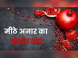 इन 5 लोगों को नहीं खाना चाहिए अनार, वरना हो सकता है नुकसान इन 5 लोगों को नहीं खाना चाहिए अनार, वरना हो सकता है नुकसान
