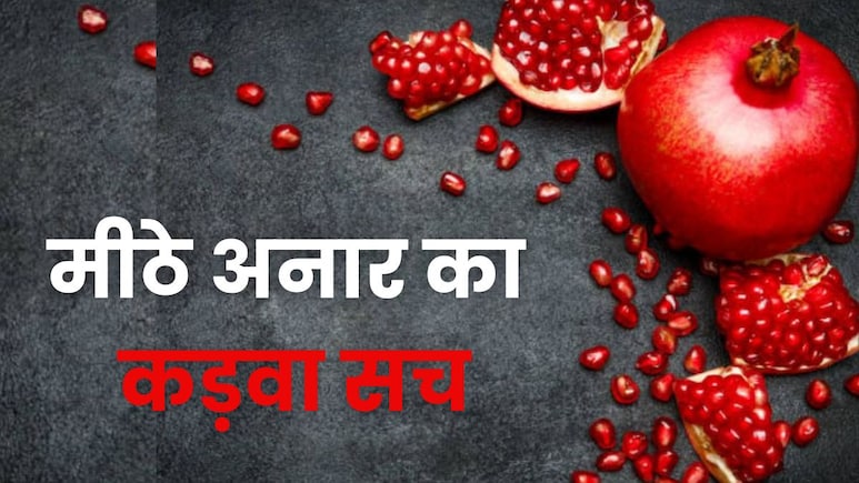 इन 5 लोगों को नहीं खाना चाहिए अनार, वरना हो सकता है नुकसान इन 5 लोगों को नहीं खाना चाहिए अनार, वरना हो सकता है नुकसान