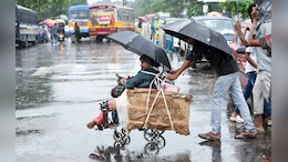 मानसून अपेडट: मध्य प्रदेश-छत्तीसगढ़ में जोरदार बारिश का दौर, बड़वानी और धार के लिए विशेष चेतावनी जारी