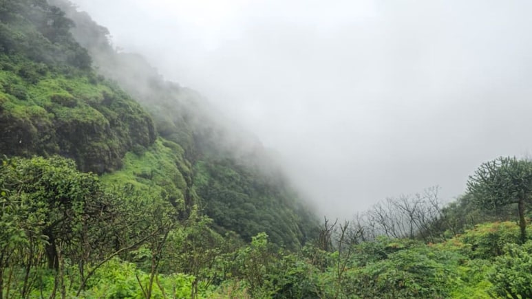 EXCLUSIVE: 'उच्चांकी' पावसाचे वरदान, लोकांसाठी ठरतेय शाप! 'पाथरपुंज'करांच्या वेदना ऐकणार कोण?