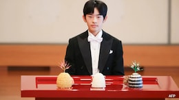 Why Japan's Prince Hisahito Is Called 'Dragonfly Prince'