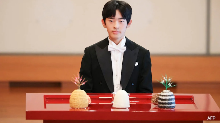 Why Japan's Prince Hisahito Is Called 'Dragonfly Prince'